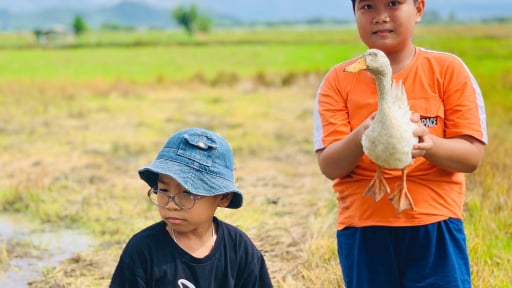 Giờ phút sáp nhập TP HCM, Bình Dương, ở Bà Rịa-Vũng Tàu dân tình kéo về làng trốn nóng, trẻ em ra đồng bắt vịt