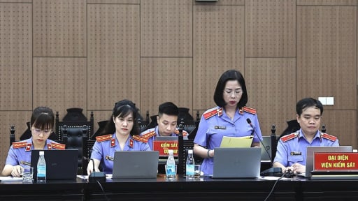 Viện kiểm sát: Việc mua bán đất giữa Tập đoàn Phúc Sơn với quan chức chỉ hình thức, thực tế là hối lộ