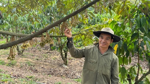 Tỷ phú Lâm Đồng, anh nông dân ở vùng sâu trồng sầu riêng lời 3-4 tỷ/năm