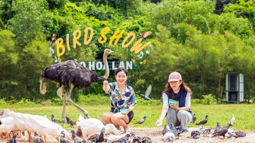 Trước sáp nhập với tỉnh Ninh Thuận để thành tỉnh mới, Khánh Hòa thu hơn 31.000 tỷ doanh thu du lịch 6 tháng đầu năm 2025