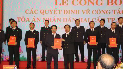 TAND TP.HCM bổ nhiệm 9 phó chánh án sau khi hợp nhất Bình Dương, Bà Rịa - Vũng Tàu