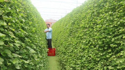 Đón thêm 2 huyện đạt chuẩn nâng cao từ Đồng Tháp, nông thôn mới tỉnh Tiền Giang mới càng thêm trù phú