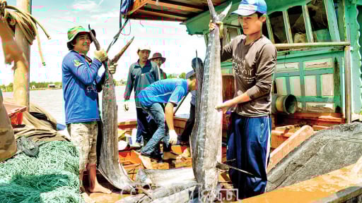 Tỉnh Bạc Liêu sáp nhập Cà Mau thành tỉnh Cà Mau mới, thế mạnh nhân đôi, lĩnh vực nào dẫn đầu cả nước?