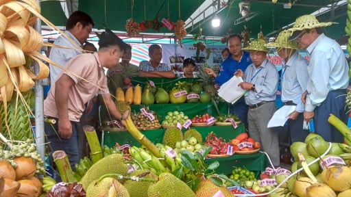 Đây là nơi trồng cây ăn quả diện tích lớn nhất TP Cần Thơ sau sáp nhập tỉnh Hậu Giang, Sóc Trăng?