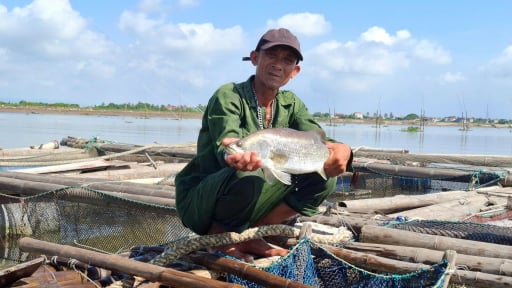 Nuôi loài cá đặc sản trên sông Yên, có bao nhiêu nhà hàng, khách sạn mua hết, ông nông dân Thanh Hóa lãi 300 triệu đồng