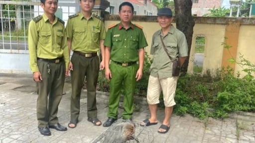 Dân tự nguyện giao nộp một con khỉ mặt đỏ-động vật hoang dã quý hiếm cho cơ quan chức năng tỉnh Quảng Trị mới