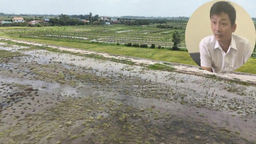 13 hộ dân ở Hưng Yên chưa nhận được tiền đền bù sau gần 2 năm bị thu hồi đất làm KCN: Mong sớm được giải quyết thỏa đáng