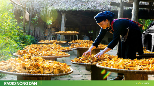 Bản làng Thái Hải: Từ đất nghèo đến làng du lịch tốt nhất thế giới