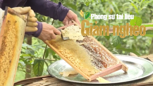 Dạy nghề cho nông dân - hướng đi mở lối thoát nghèo bền vững ở Quảng Trị