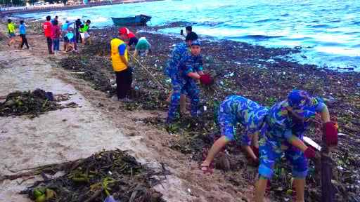 Hơn 1.000 cán bộ, đoàn viên Vùng 2 Hải quân tham gia “Ngày thứ 7 tình nguyện”