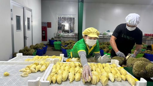 Xuất khẩu nông sản năm 2025: Vạch 3 con đường 
đi đến mốc 65 tỷ USD  