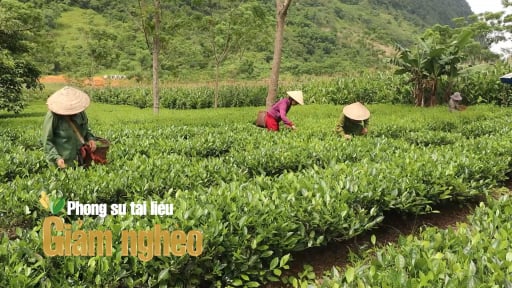 Câu chuyện giảm nghèo tại một xã vùng thấp Hòa Bình: Đánh thức vùng đất khó