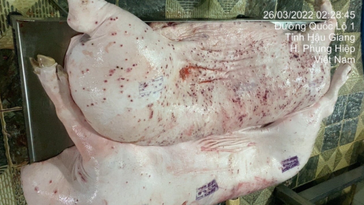 Công an sẽ làm rõ “động cơ phát tán hình ảnh” về Công ty C.P Việt Nam