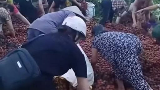 Vụ xe tải gặp nạn, hàng tấn vải rơi ra đường, người dân nhặt gần hết: Chủ xe đã nhận được khoảng 40 triệu đồng 