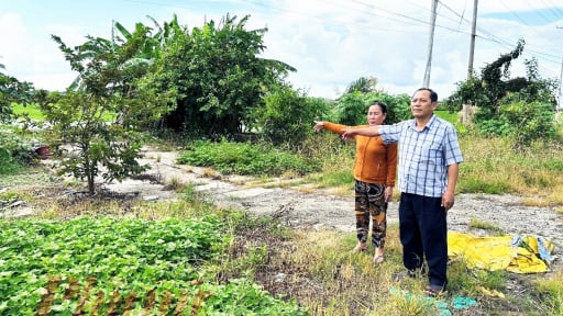 Vụ nhiều hộ dân ở Cà Mau “dính bẫy” bán đất trước nhận tiền sau: Đề nghị hủy án phúc thẩm và sơ thẩm