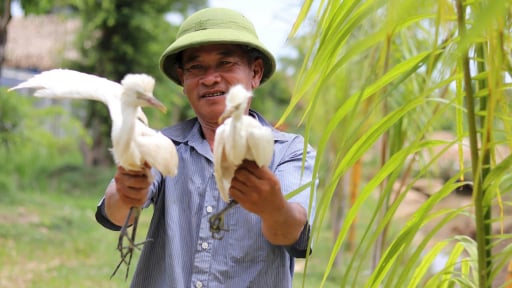 Chuyện lạ ở Hà Tĩnh: 'Dị nhân' từ Cà Mau và tuyệt chiêu 'dẫn dụ' chim trời về với Thành Sen

