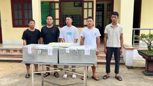 Lào Cai: Bắt giữ đối tượng người Trung Quốc, hé lộ thủ đoạn giấu 235kg bạc trong xe đầu kéo