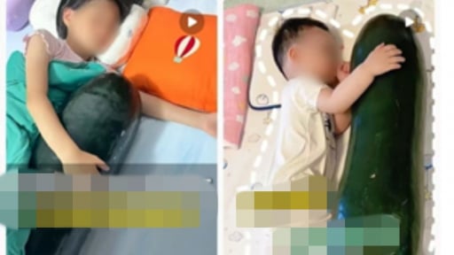 Người Trung Quốc ôm bí đao đi ngủ để giải nhiệt