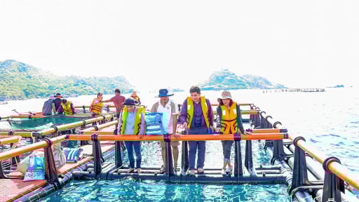 Ra biển Khánh Hòa thấy dân nuôi cá to bự trong cái lồng khổng lồ, 10 người xem cả 10 người trầm trồ