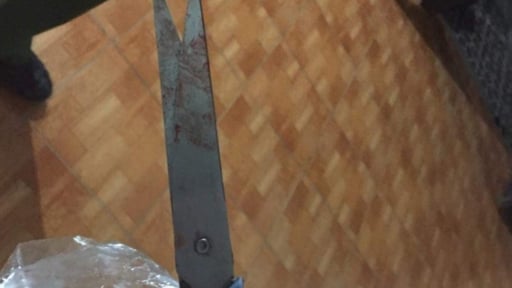 Truy bắt nghi phạm dùng kéo sát hại mẹ vợ