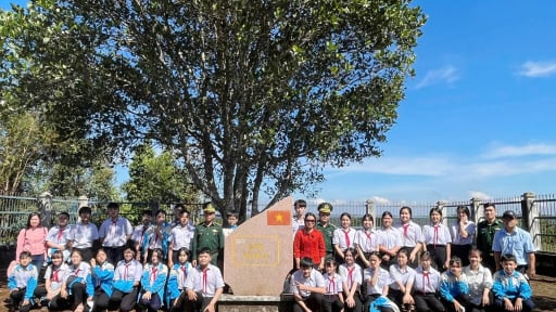 Một cây mít vùng biên giới tỉnh Lâm Đồng mới có gì đặc biệt mà cả làng dựng rào bảo vệ?