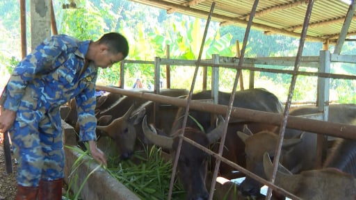 Một nông dân ở Thái Nguyên hỗ trợ cho vay lãi suất 0 đồng giúp nông dân biết làm ăn, thoát nghèo, vươn lên khá giả