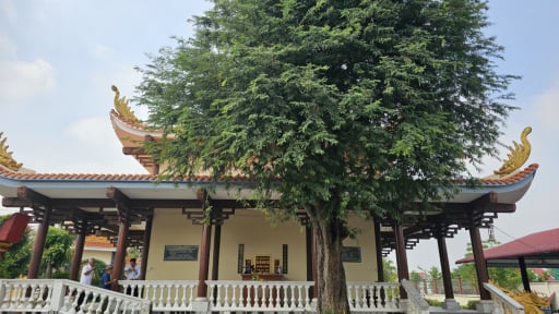 Tỉnh Long An cũ, nay là tỉnh Tây Ninh mới có một ngôi đình cổ thờ ông quan to nhà Nguyễn vướng án oan
