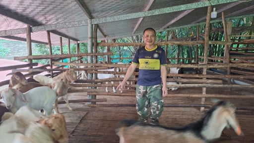 Nuôi cả nghìn con dê, một nông dân Thái Nguyên thu lãi bao nhiêu tiền/năm?