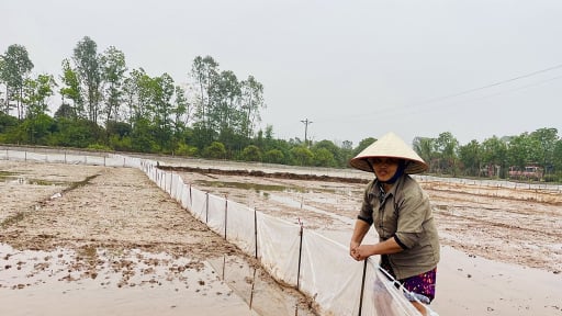 Cảnh báo khẩn cấp một hành vi nguy hiểm liên quan đến con động vật quái ác này ở tỉnh Hưng Yên mới