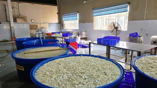 Bên trong kho chân gà 13,5 tấn không nguồn gốc được tẩy trắng bằng hoá chất