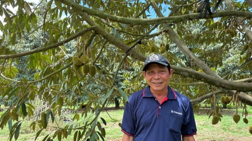 Cũng sầu riêng thôi, sao ở tỉnh Lâm Đồng mới, ông nông dân này trồng kiểu  gì mà lãnh đạo xã gật gù thán phục?