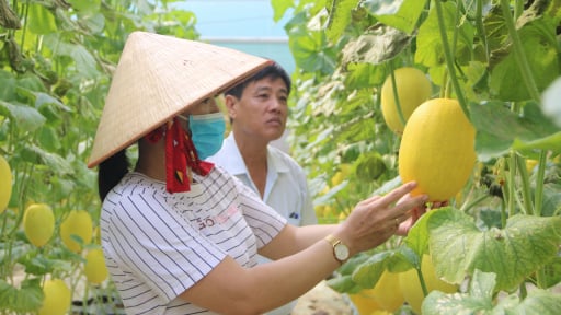 Tỉnh An Giang mới: Xây dựng nông thôn mới trên quê hương Bác Tôn có gì đặc biệt?