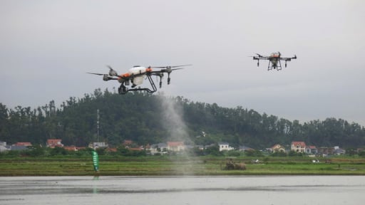 Cánh đồng trồng lúa dùng công nghệ chính xác Dtails ở TP Hải Phòng có gì đặc biệt mà khiến cả làng trầm trồ?