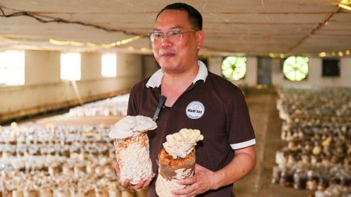 Để nông nghiệp hữu cơ không chỉ là 'trend': Duy trì tiêu chuẩn hữu cơ, bài toán khó cho nông dân, doanh nghiệp (Bài 2)