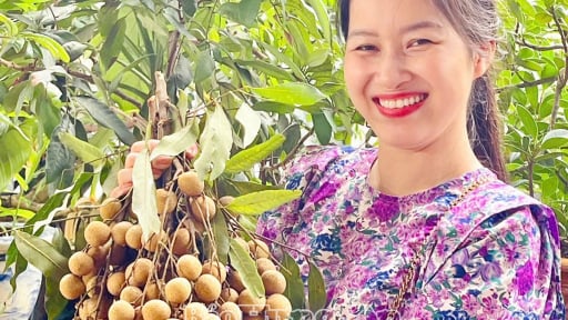 15 ngày sau sáp nhập tỉnh Hưng Yên, Thái Bình, đây là một xã mới đang sở hữu 'kho báu' có một không hai