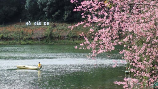Có một nơi vô cùng thú vị ở tỉnh mới miền Trung: Du khách sáng đắp chăn, chiều lại cà phê giữa rừng