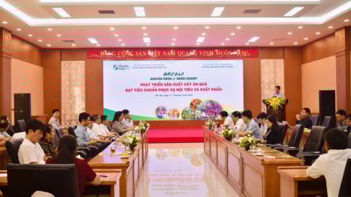 'Chìa khóa vàng' cho cây ăn quả Việt Nam vươn tầm xuất khẩu