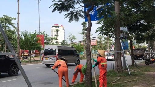 Lo ngại bão WIPHA mạnh như bão Yagi, công nhân ở Hải Phòng cắt tỉa cây xanh nguy hiểm trên tất cả các tuyến đường