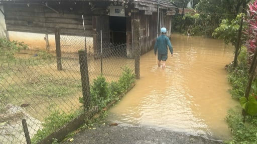 Mưa kèm gió giật mạnh gây nhiều thiệt hại, Lâm Đồng có công điện khẩn ứng phó bão Wipha