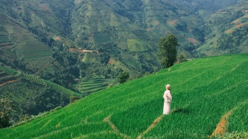 Từng là nơi “chó ăn đá, gà ăn sỏi”, giờ hóa “vùng xanh bí ẩn” khiến dân phượt đổ về trốn nóng giữa mùa hè rực cháy 