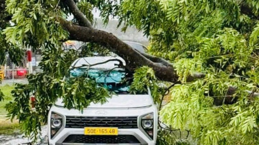 Cây đổ hàng loạt, đè lên ô tô tại TP.HCM do mưa lớn kèm gió giật mạnh