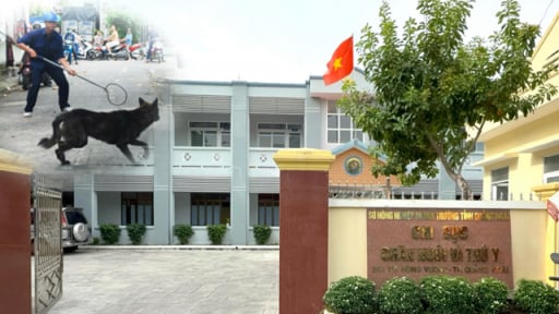 Xuất hiện ổ dịch bệnh Dại tại một xã của tỉnh Kon Tum cũ, Quảng Ngãi lệnh cấm vận chuyển, lập đội bắt chó, mèo thả rông 