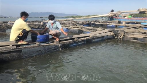 Một xã đảo nổi tiếng ở TPHCM sau sáp nhập có 'Tuyến đường thanh toán không dùng tiền mặt'