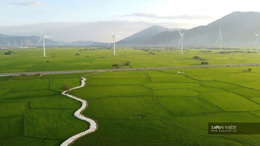 Lộ diện Liên minh các tập đoàn đề xuất siêu dự án Hydrogen – Amonia xanh 36.000 tỷ đồng tại Khánh Hòa