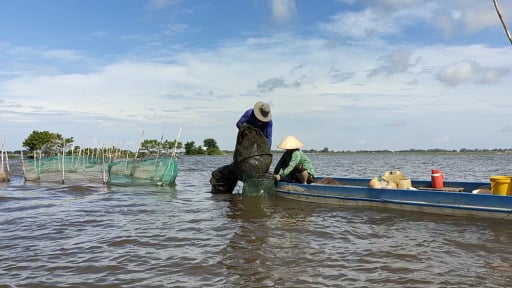 Đang chờ con cá đặc sản mùa nước nổi An Giang, hễ nói tên 10 người nhớ cả 10