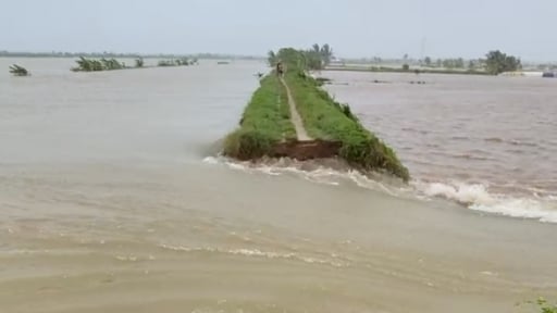 Hải Phòng:  Ảnh hưởng bão số 3, nước sông Thái Bình dâng cao khiến một đoạn đê bối ở xã Vĩnh Thuận bị vỡ