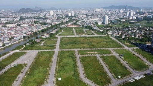 Thị trường đất nền chững lại sau cơn sốt sáp nhập từ đầu năm