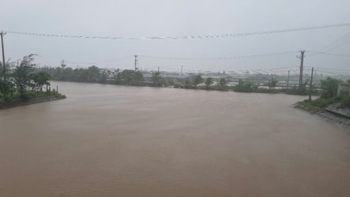 Ninh Bình đang tìm mọi cách 'cứu' ngành nuôi tôm, khắc phục hạ tầng sau bão số 3