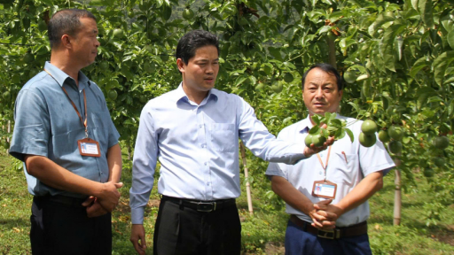 Nông thôn Tây Bắc: “Dân vận khéo” chìa khóa vàng mở cánh cửa no ấm