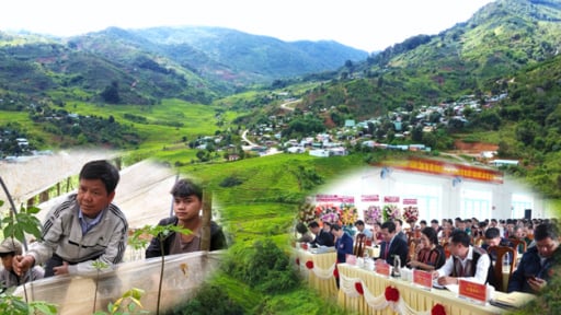 Đại hội của một xã ở tỉnh Quảng Ngãi mới đã 'chốt' mục tiêu trồng mới 1.300 ha sâm Ngọc Linh trong 5 năm tới